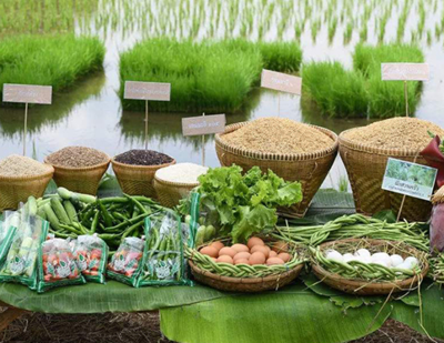 我國農(nóng)產(chǎn)品質(zhì)量安全持續(xù)向好 合格率連續(xù)六年穩(wěn)定在97%以上