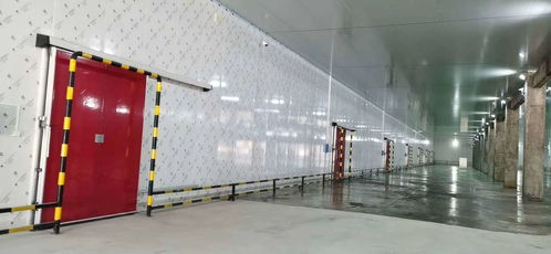 專業(yè)保鮮，智造未來——佛山食品保鮮冷庫工程廠家，為食品廠與農(nóng)產(chǎn)品提供全方位儲存方案