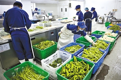 新京報 好新聞，無止境——探索中國農(nóng)產(chǎn)品背后的故事