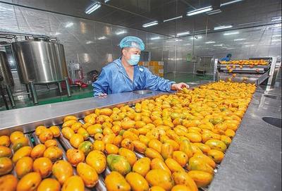 育好物、出爆款、強品牌 打造現(xiàn)代農(nóng)業(yè)價值鏈的三部曲