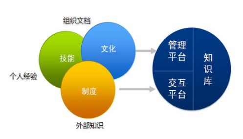 從碎片到體系 企業(yè)知識(shí)管理的系統(tǒng)化路徑與軟件開(kāi)發(fā)實(shí)踐